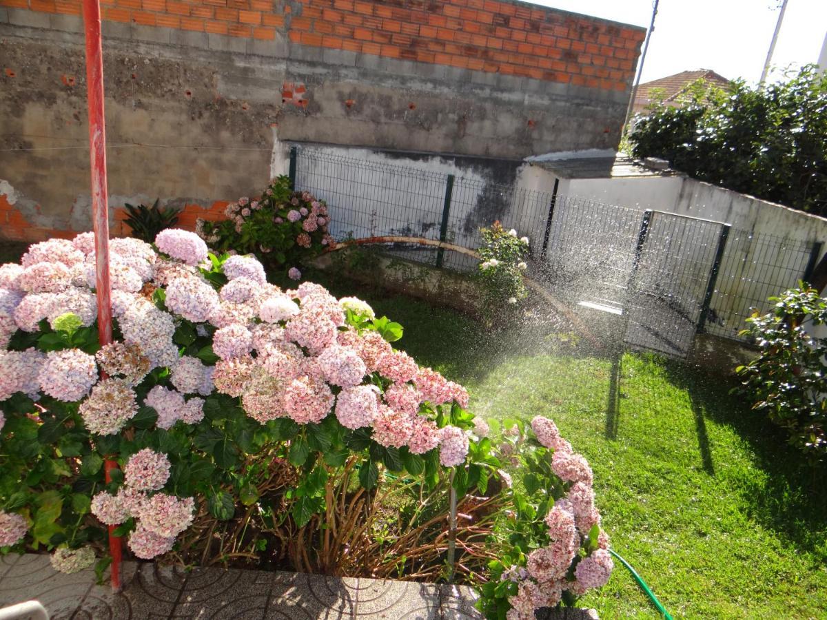Ribeiro'S House Villa Gafanha da Nazare Ngoại thất bức ảnh
