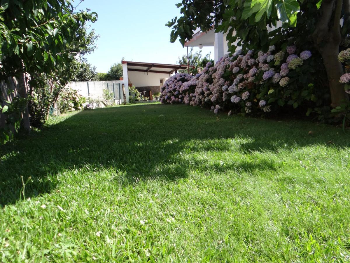Ribeiro'S House Villa Gafanha da Nazare Ngoại thất bức ảnh