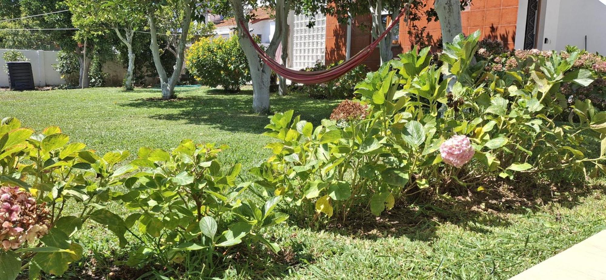 Ribeiro'S House Villa Gafanha da Nazare Ngoại thất bức ảnh